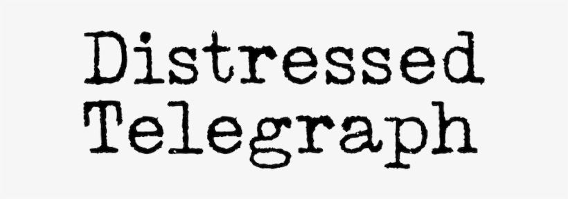 Foundries - Cambridge Florist, transparent png