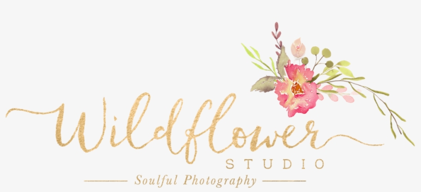 Wildflower Studio Soulful Photography, transparent png