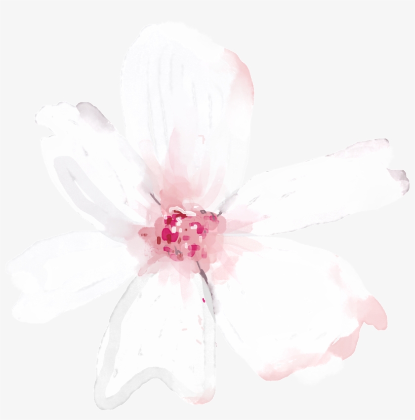 Hand Painted Translucent Floral Png Transparent - Portable Network Graphics, transparent png