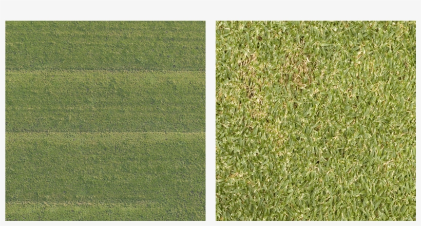 Here Are Two Grass Textures - Logo, transparent png