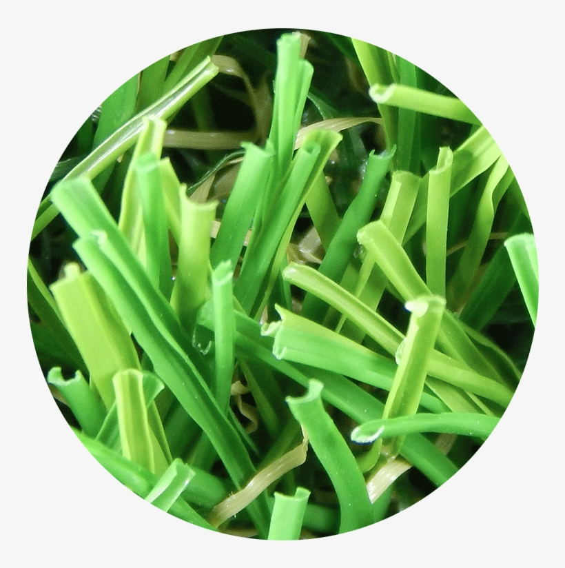 Texture Designed - Grass, transparent png
