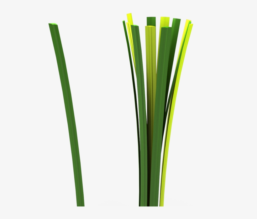 Blog 4 Glattes Filament - Blog, transparent png