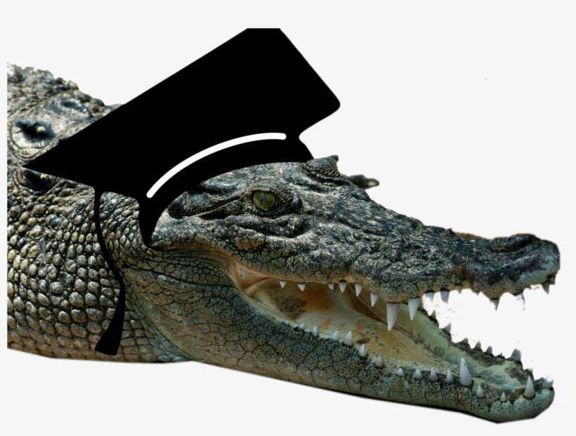Crocodile [book], transparent png