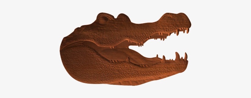 American Crocodile, transparent png