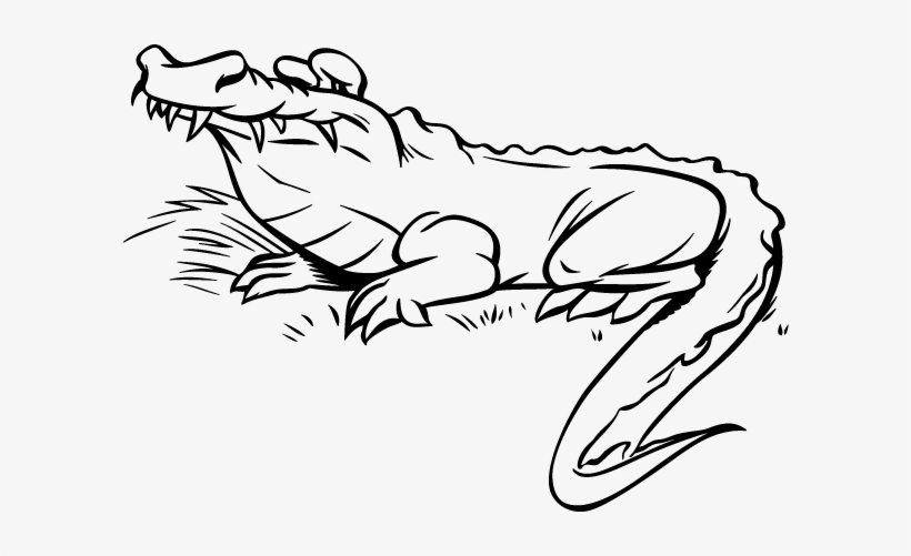 Crocodile Clip Art, transparent png