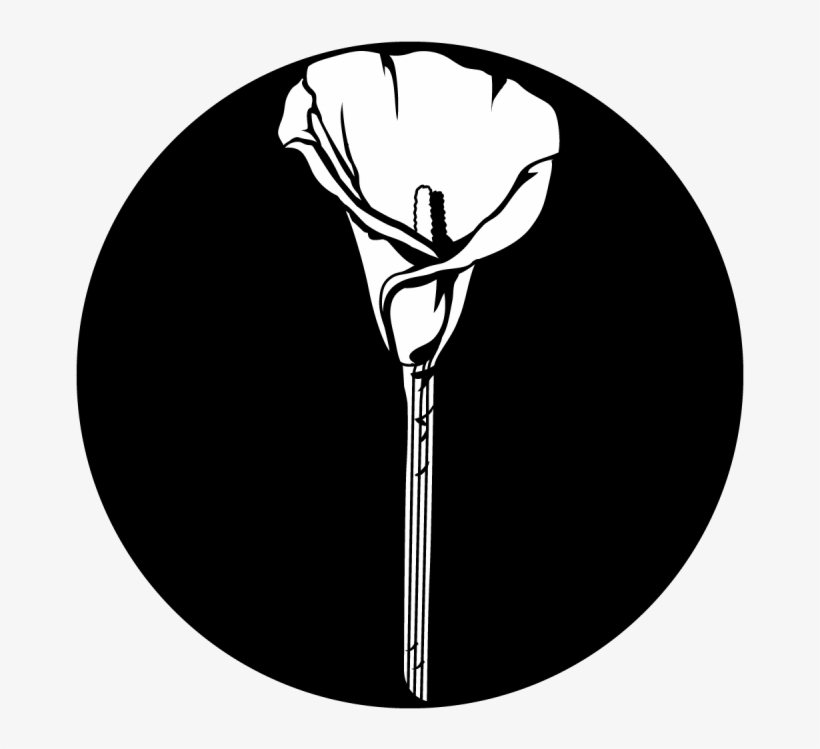 Lonely Calla Lily, transparent png