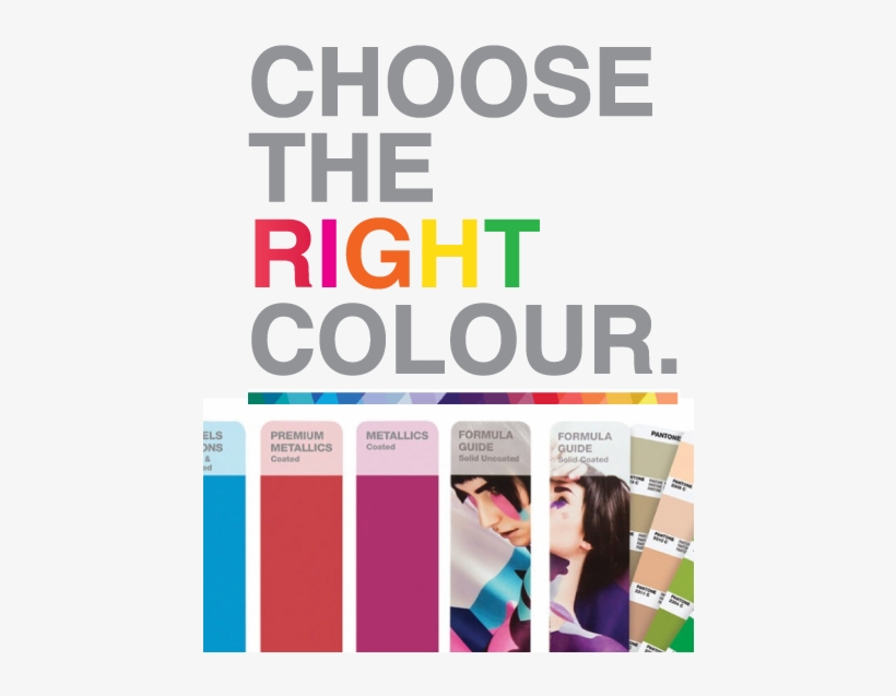 Show Your True Colours With Pantone™ Colour Guides - Pantone Plus Solid Guide Set, transparent png