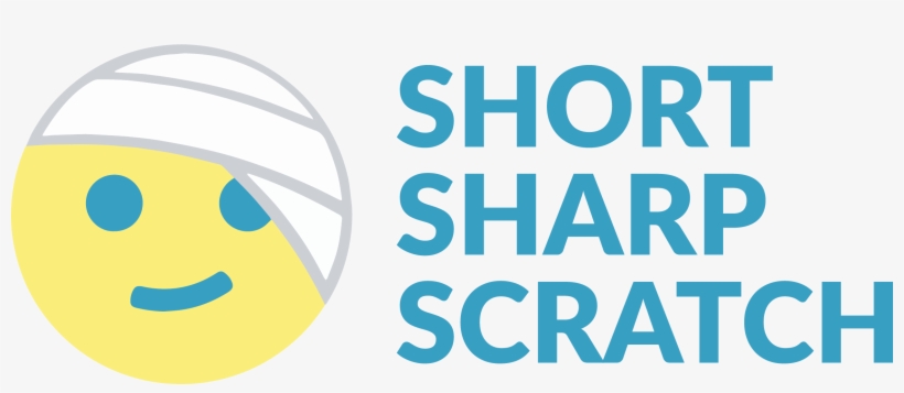 Short Sharp Scratch A Satirical Look At One Man's Journey - Custom Boat Flags, transparent png