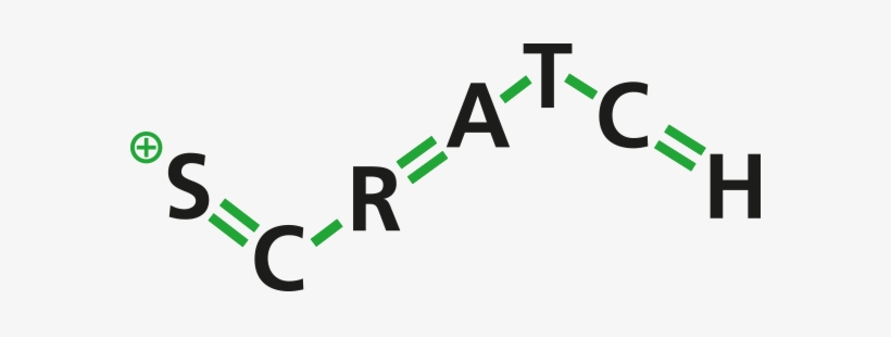 Scratch Pv - Invoice, transparent png