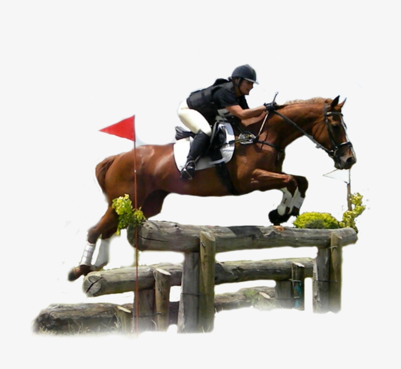 Powered - Transparent Cross Country Horse, transparent png