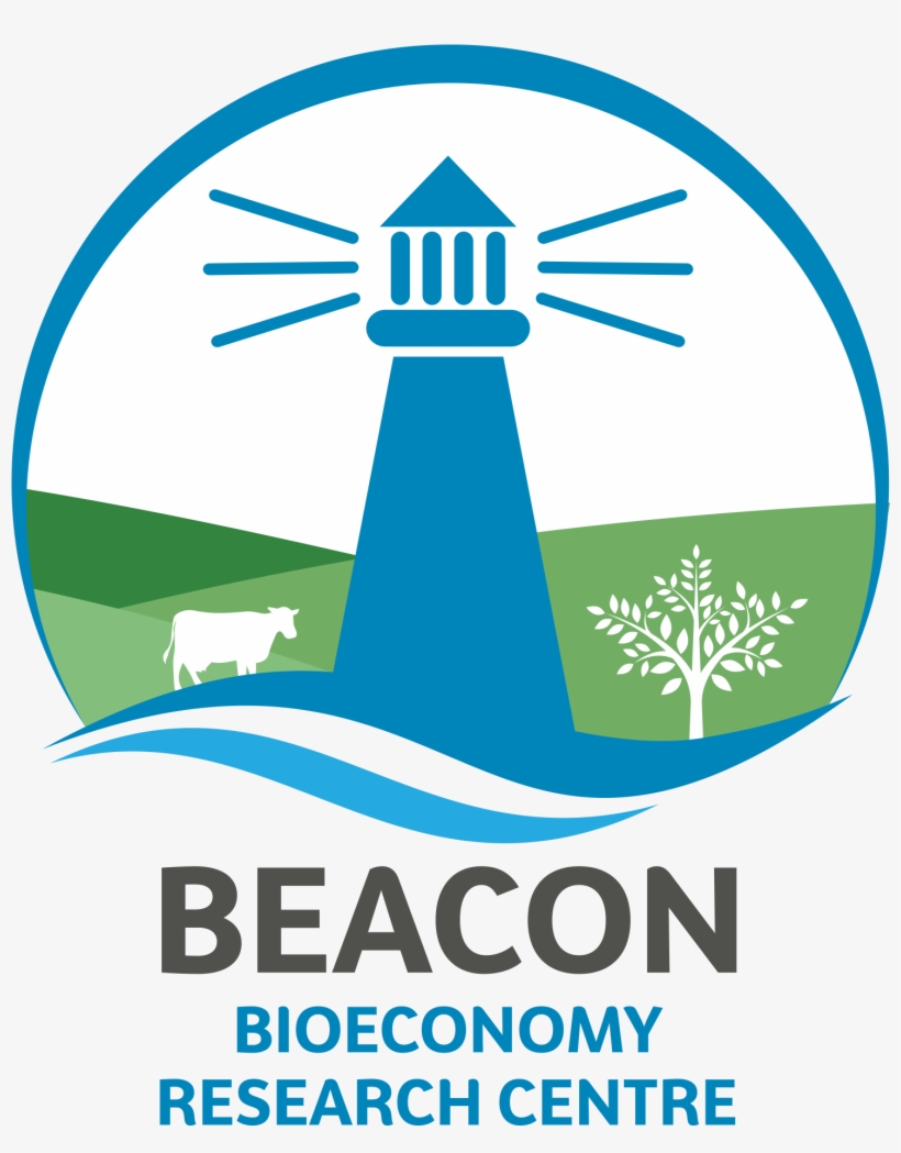 New Beacon Website Coming Soon - Research, transparent png