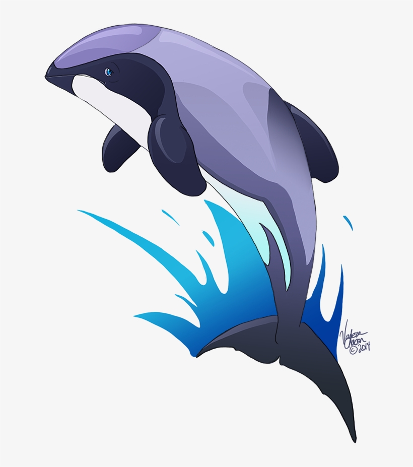 28 Collection Of Maui Dolphin Drawing - Painting, transparent png