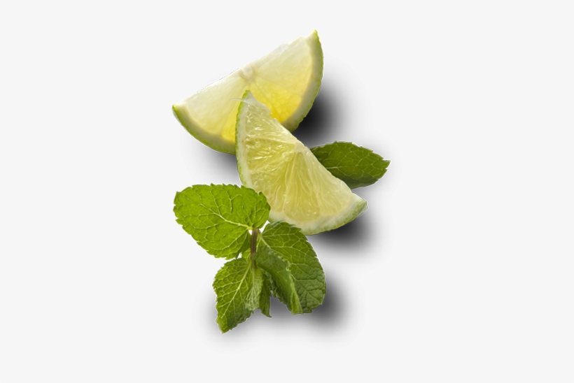 Limeandmint - Mint And Lime Png, transparent png