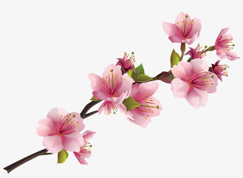 Sakura Pink Flowers Png Free Images - Orange Venue Japon Kiraz Çiçeği Kırlent Kılıfı - 45x45, transparent png