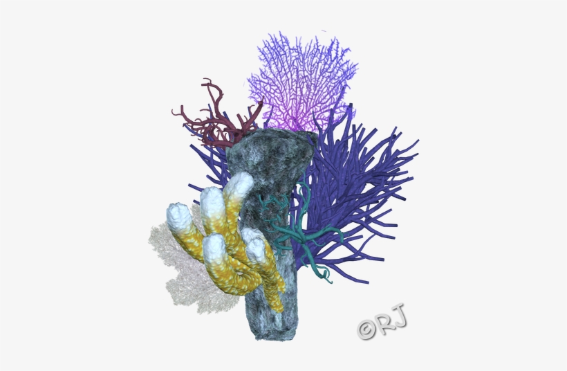 Coral Reef Png - Floral Design, transparent png