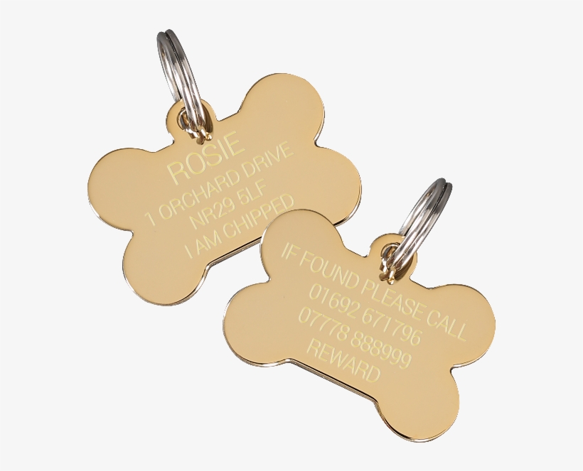 Dog, transparent png