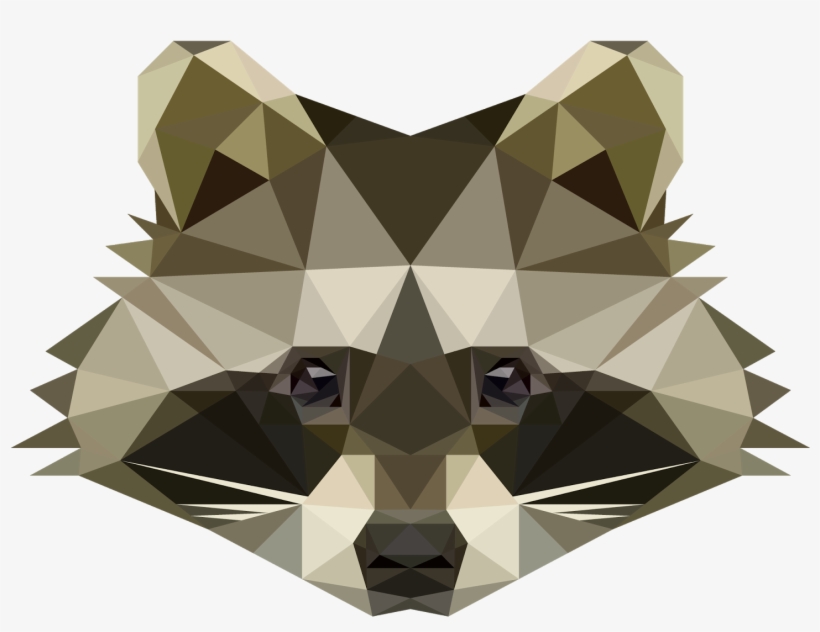 Raccoon Isn't He The Cutest I Might Get Adventurous - Low Poly Raccoon Png, transparent png