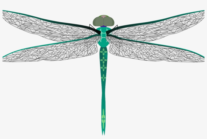 Dragonfly, Bug, Insect, Darning Needle - แมลงปอ Png, transparent png