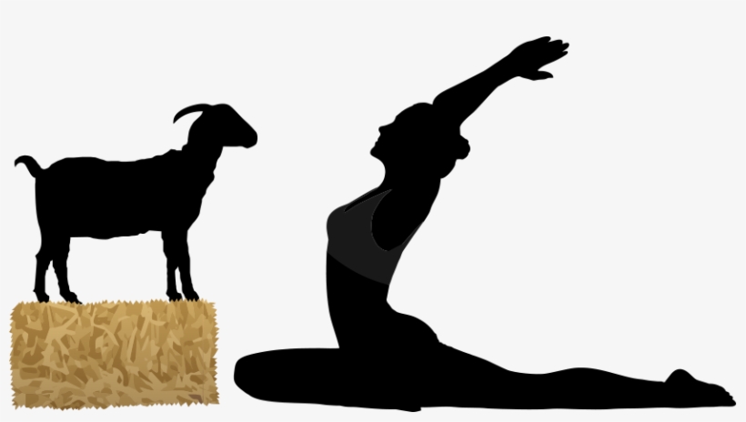 Have Ya Herd Welcome To The Original - Goat Yoga Clip Art, transparent png