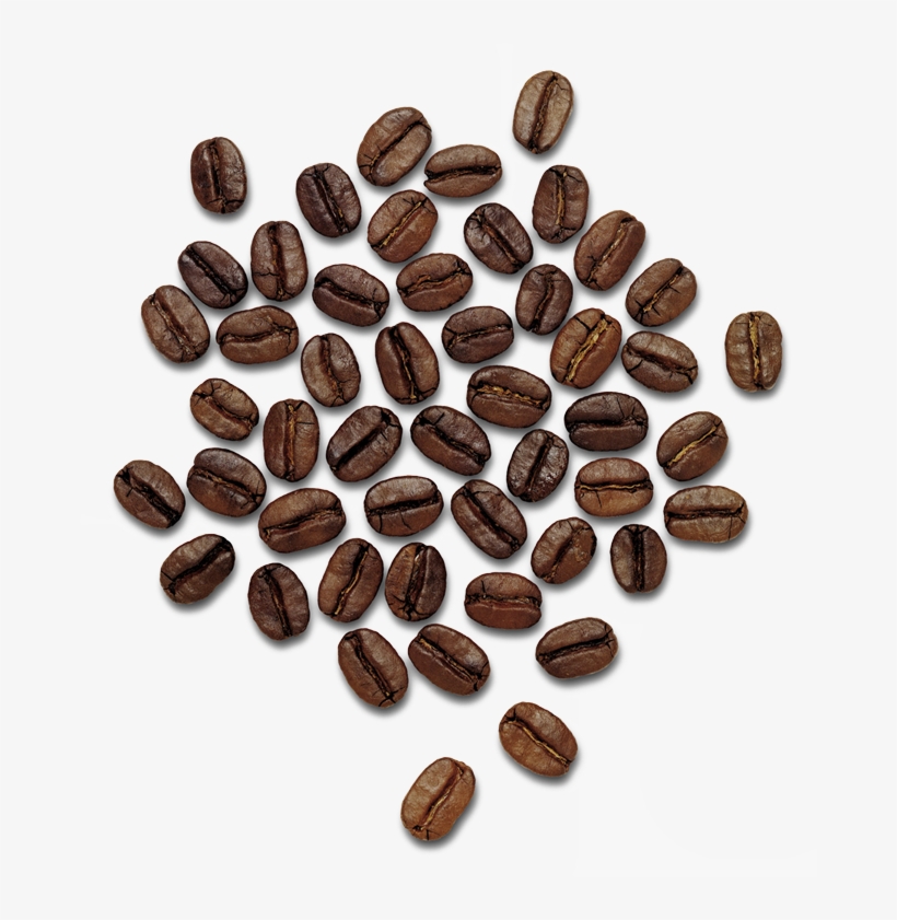 Coffee Beans Png Image - Dolce Gabbana The Only One, transparent png