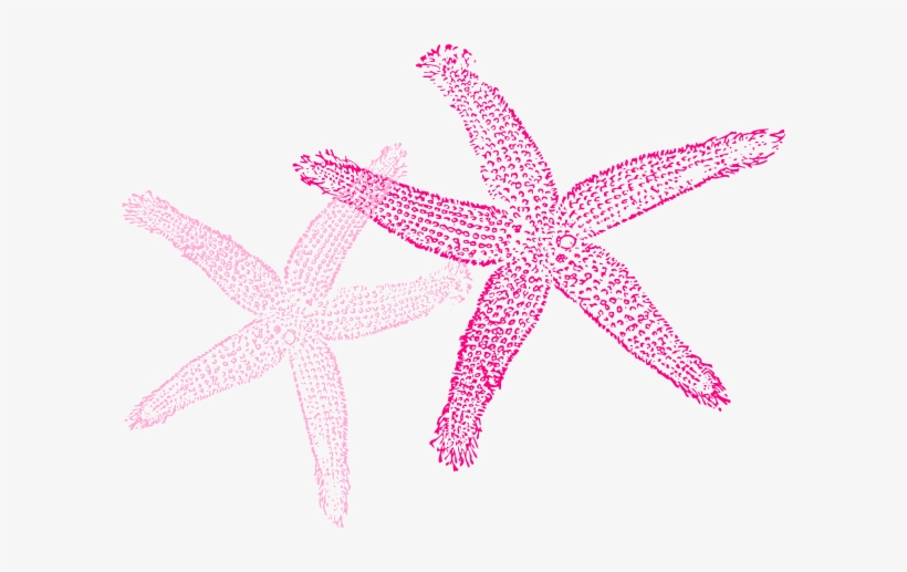 Small - Fish Clip Art, transparent png