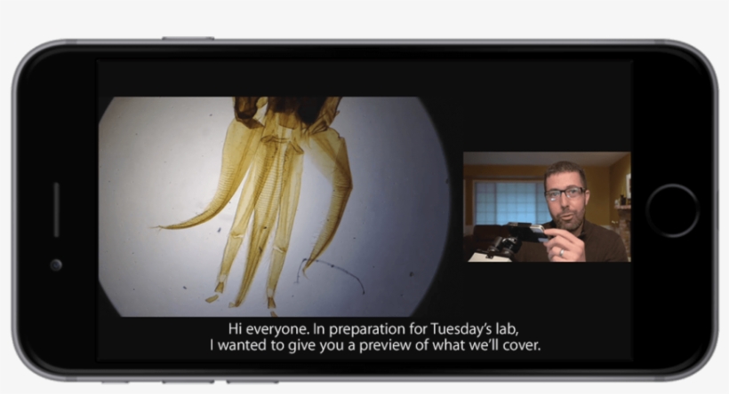 Section 508-compliant Captioning And Accessibility - Iphone, transparent png