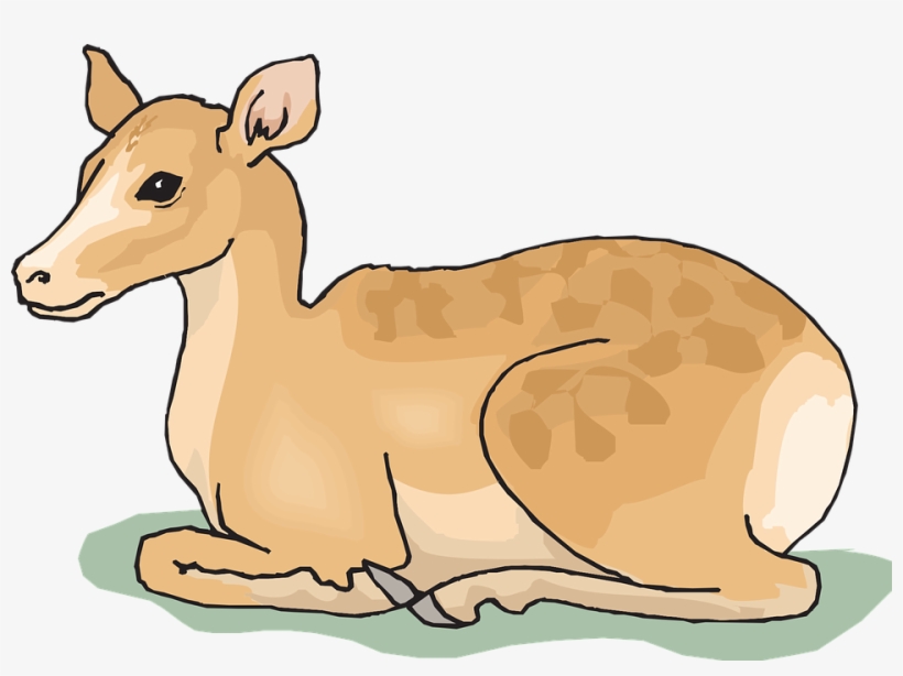 Original Png Clip Art File Sitting Deer Svg Images, transparent png