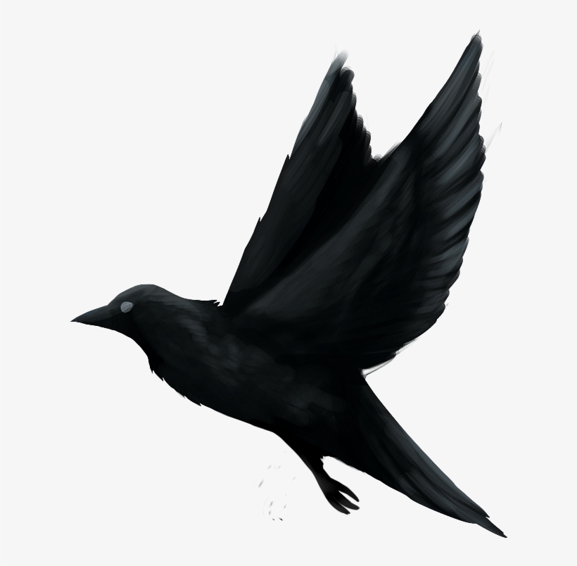 Painted Raven - Raven, transparent png