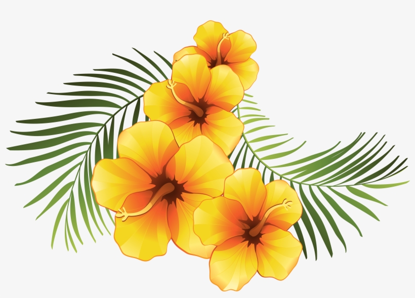 Plumeria Clipart At Getdrawings - Exotic Png, transparent png