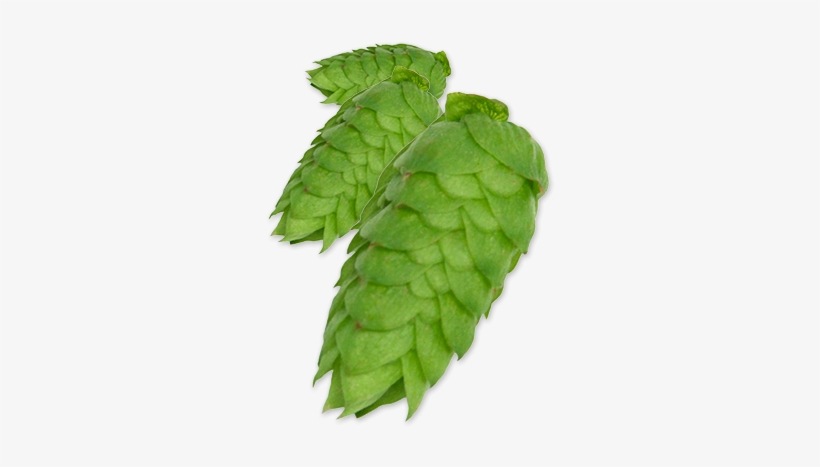 Comet Pellet Hops - Hops, transparent png