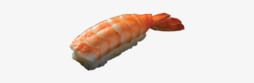 Sushi Shrimp - Fish Slice, transparent png