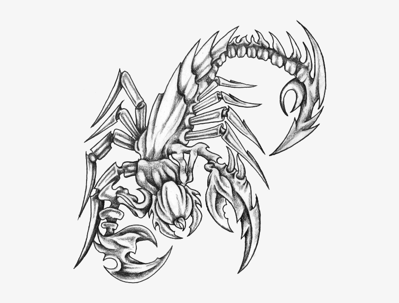Scorpion Tattoo Designs Black And Grey, transparent png
