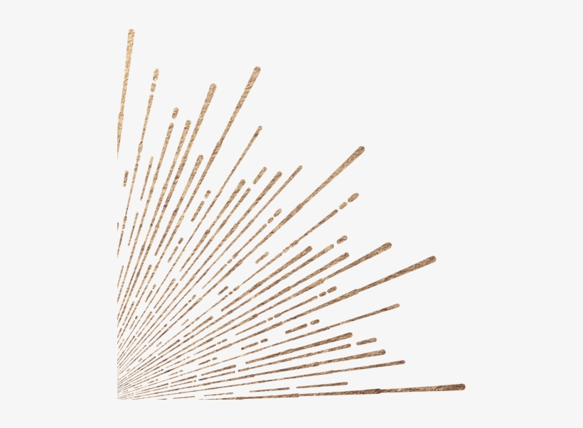 Macro Photography, transparent png