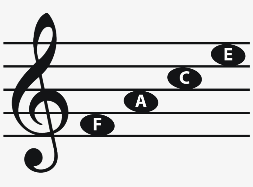 Treble Staff Line Notes Space Notes In Treble Clef 820x538 PNG