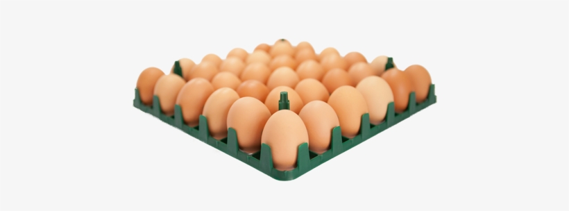 36 Egg Tray - Eggs In A Tray Png, transparent png