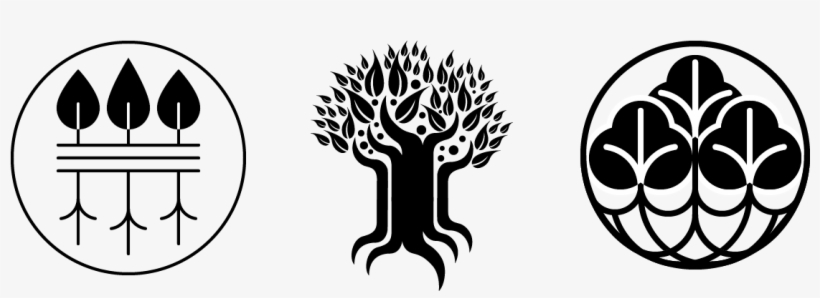 Sweet Sin Design Roots And Branches Logo - Photography, transparent png