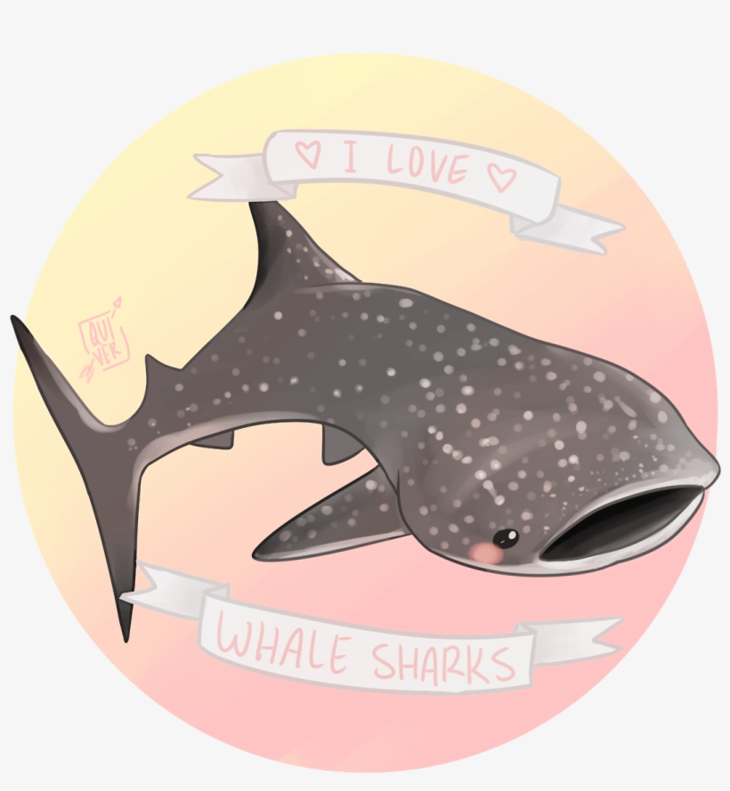 Killer Whale, transparent png