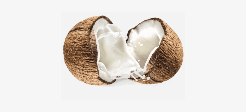 Coconut - Cha's Organics Light Organic Coconut Milk, transparent png