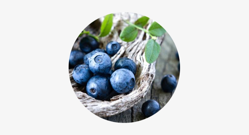 The Member Of Wiki - Deep Blue Blueberry Seeds, transparent png