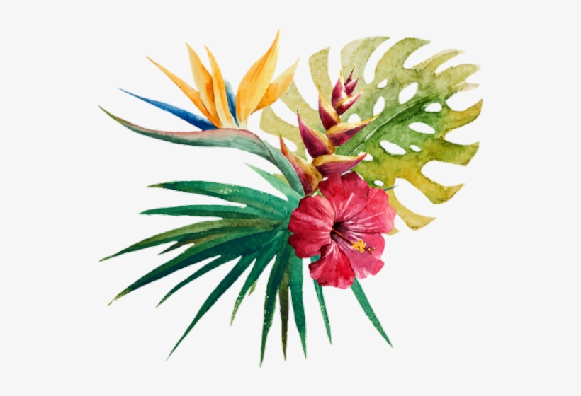 Jungkook Bts Btsarmy Jungkook Jin Suga Jimin Bayou Breeze Aquilina Wild Tropical Orchid Shower Curtain 545x480 Png Download Pngkit