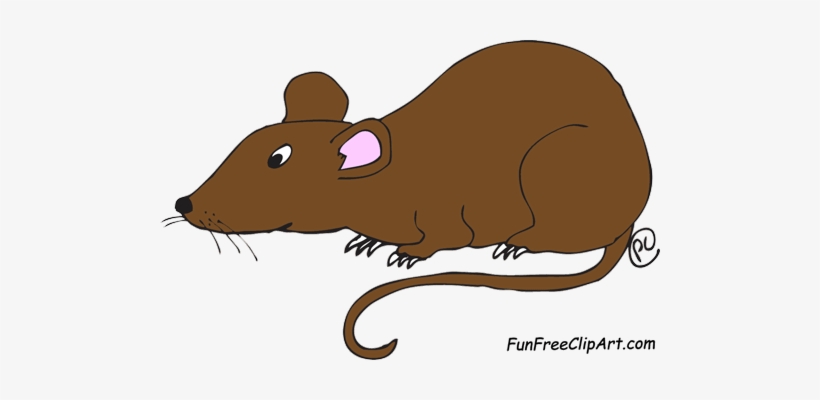Free Clipart Images Rat Clipartfest - Clipart Picture Of Rat, transparent png