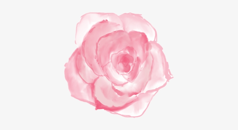 Dark Pink Rose - Flores Blush Png, transparent png