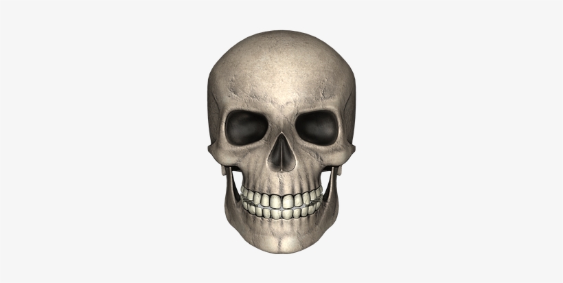 Adult Content Safesearch Skull Day Of The Dead Bone - Tierisches Eiweiß Ist Ungesund - Epub, transparent png