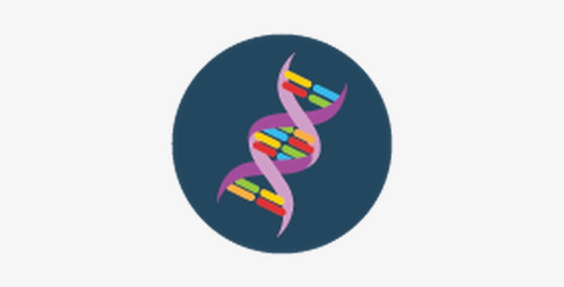 Dna Helix Clip Art At - Clip Art, transparent png
