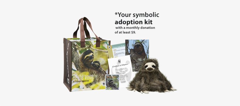 Sloth Adoption Kit Symbolically Adopt A Sloth - Sloth - 460x333 PNG