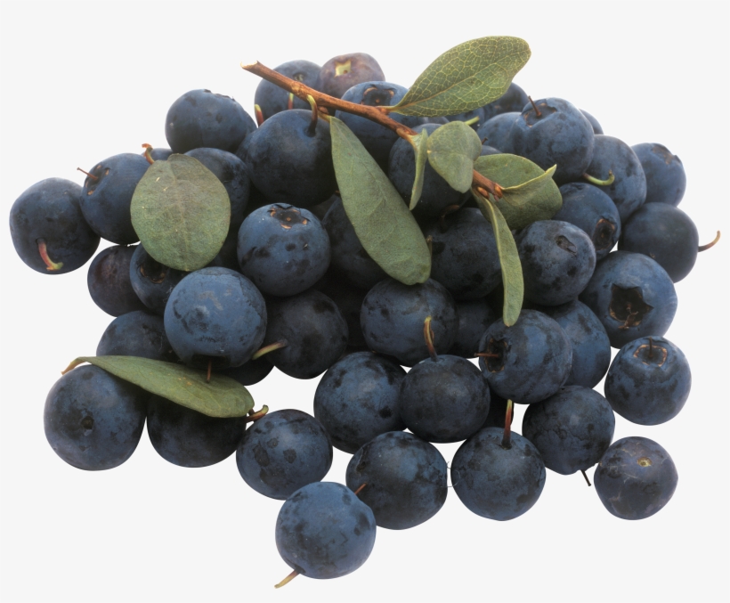Blueberry Png, transparent png