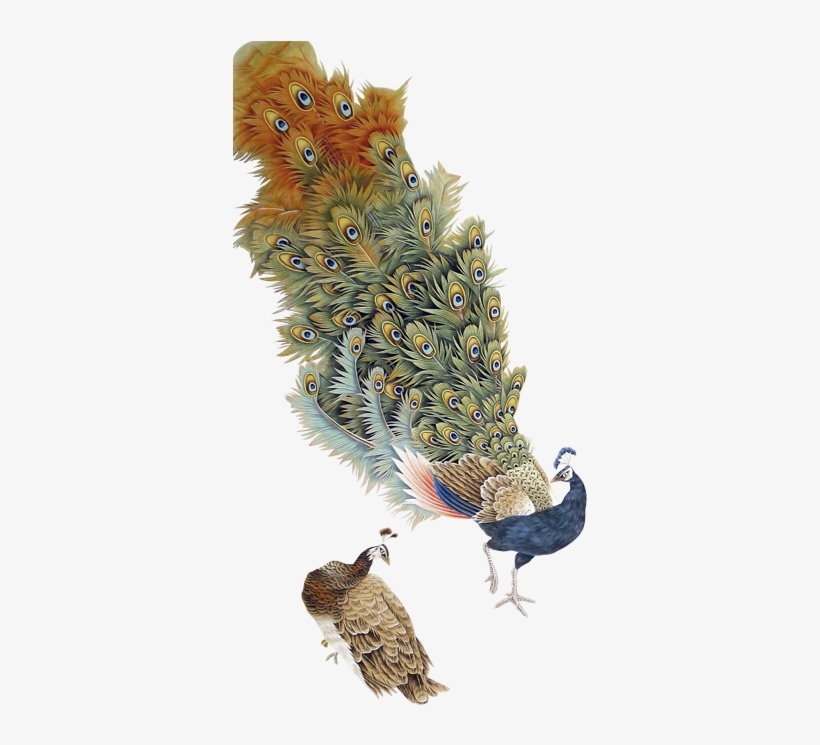 手绘孔雀 - Gongbi, transparent png