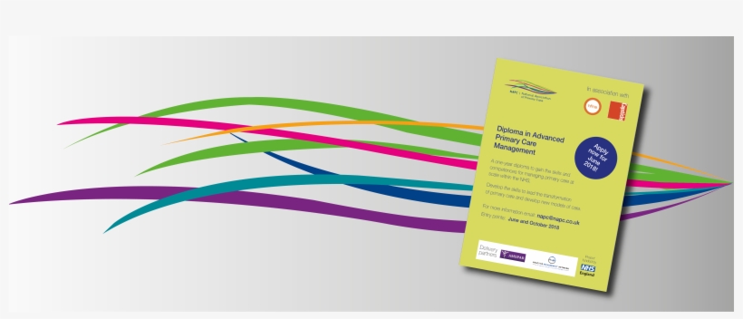 Diploma Application - Diploma, transparent png