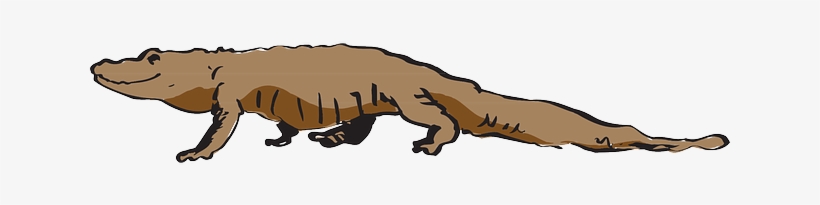 Brown, View, Side, Dangerous, Walking, Tail, Alligator - Animals Clipart, transparent png