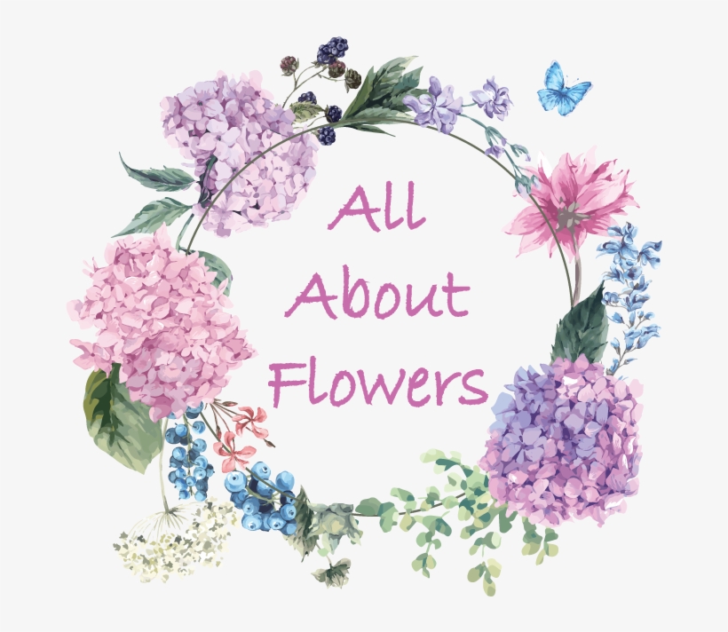 All About Flowers Online Ordering - Lolibean Hot Pink Skinny Elastic Headband - Petite, transparent png